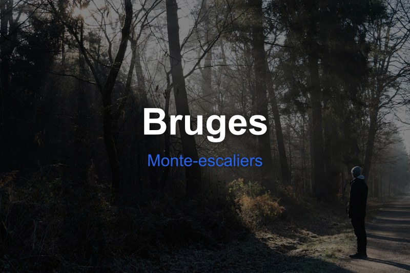 Monte-escaliers à Bruges, Belgique - Trouvez un professionnel