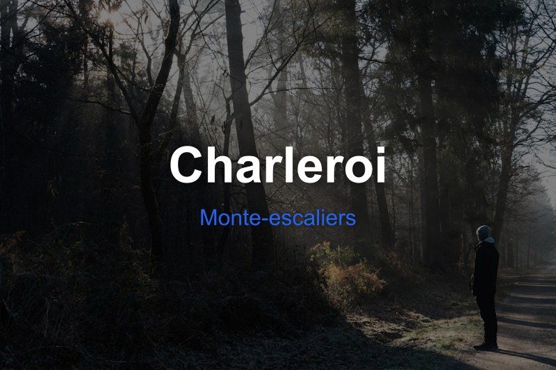 Monte-escaliers à Charleroi, Belgique - Trouvez un professionnel
