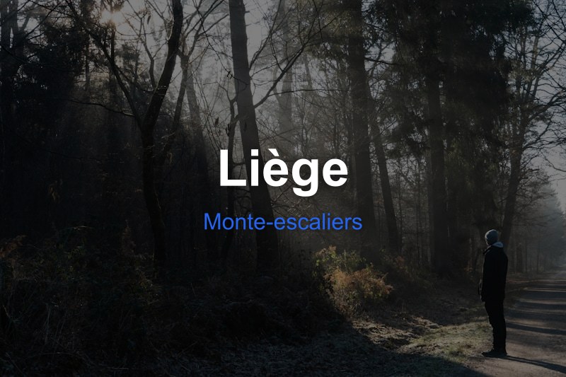 Monte-escaliers à Liège, Belgique - Trouvez un professionnel