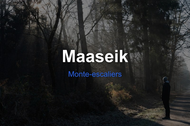 Monte-escaliers à Maaseik, Belgique - Trouvez un professionnel