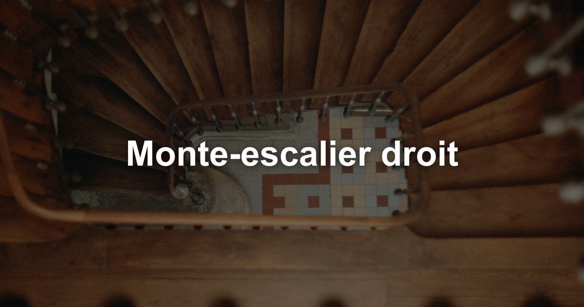 Monte-escalier droit dans l'arrondissement de Termonde